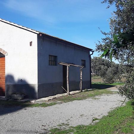 Agriturismo Monte Alzato Capalbio Exteriör bild