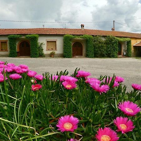 Agriturismo Monte Alzato Capalbio Exteriör bild
