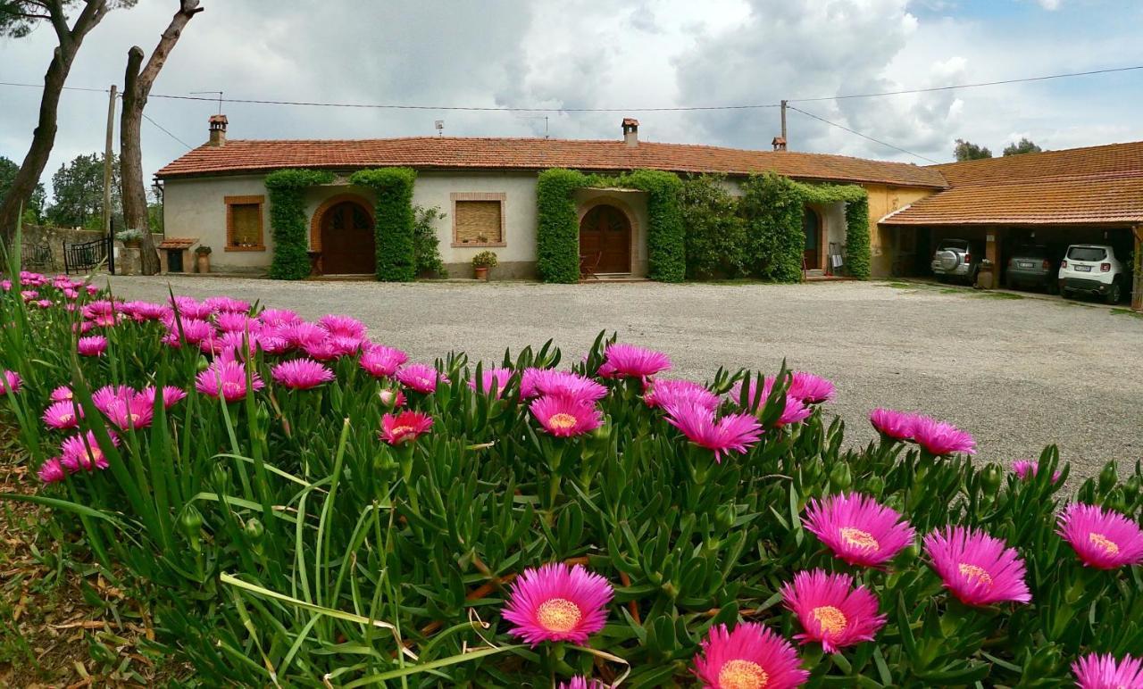 Agriturismo Monte Alzato Capalbio Exteriör bild